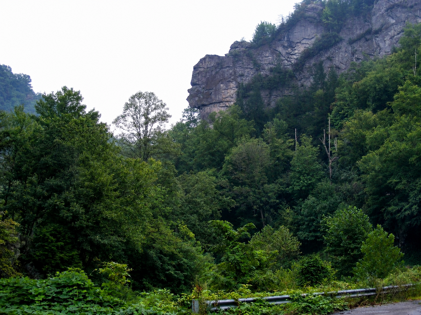 The Great Stone Face rock formation near Pennington Gap, Virginia